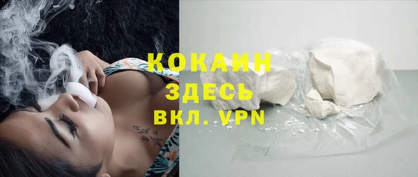 индика Снежногорск