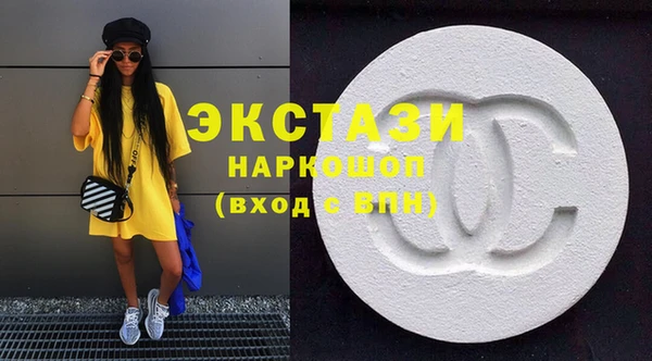 индика Снежногорск