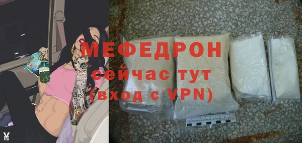 индика Снежногорск