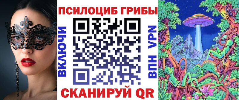 как найти закладки  MEGA как зайти  Галлюциногенные грибы MAGIC MUSHROOMS  Ярославль 